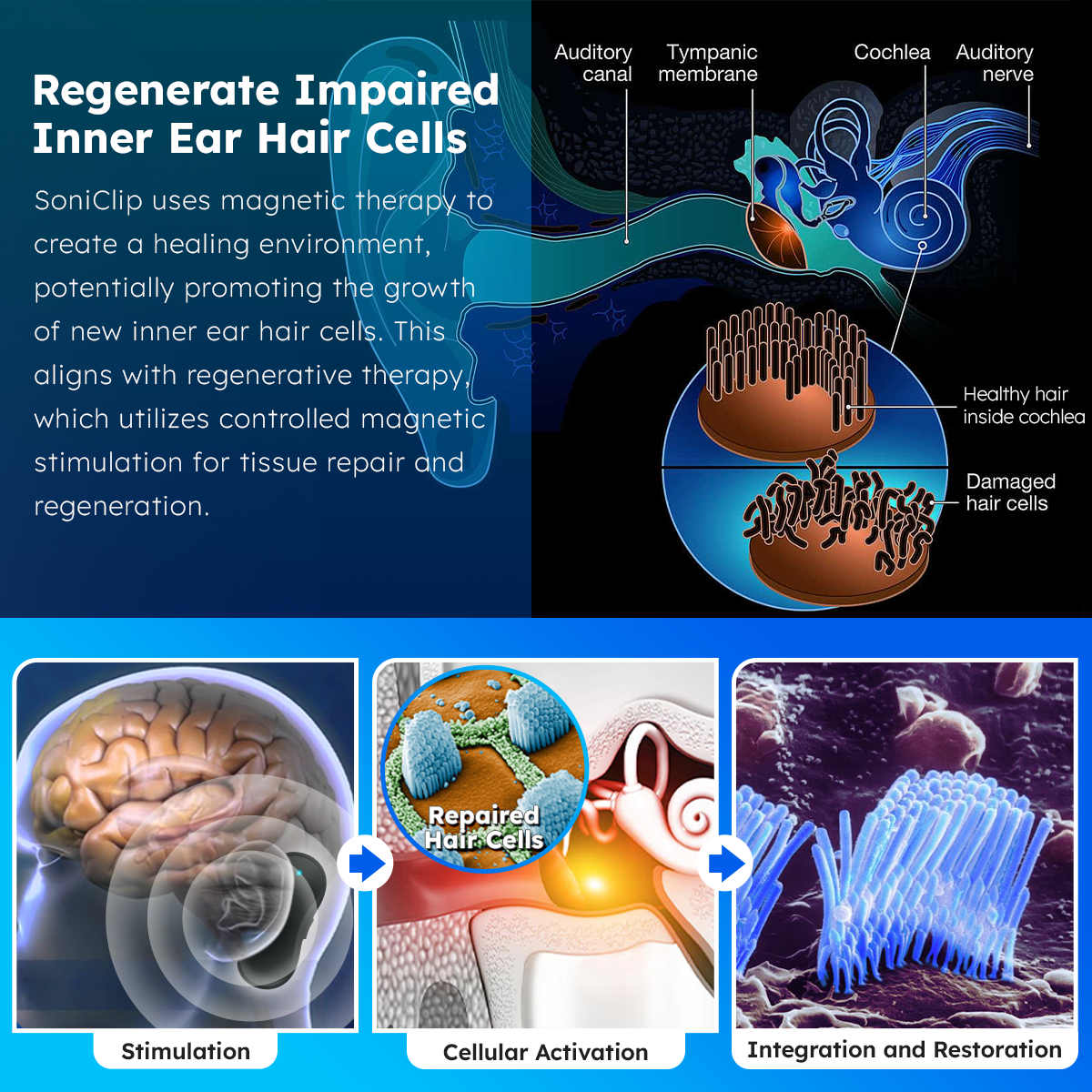 DAFEILA™ SoniClip Tinnitus Relief Device 🥰