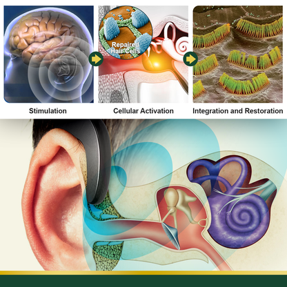 DAFEILA™ AudioCalm-Tinnitus Magnetic Therapy Device 🍏